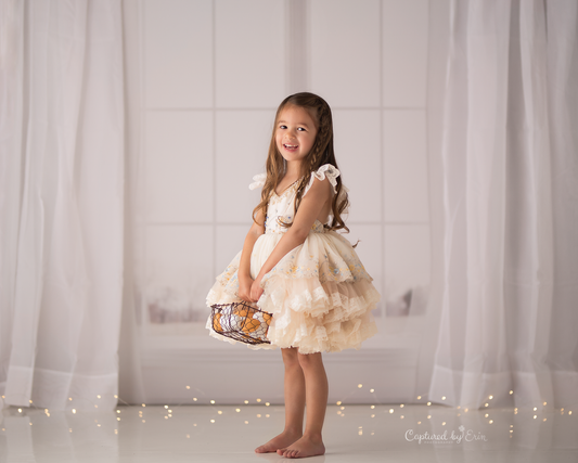 RTS Whimsical Window - 12x8' Wrinkle-Free Fabric - Banding - 60% Off