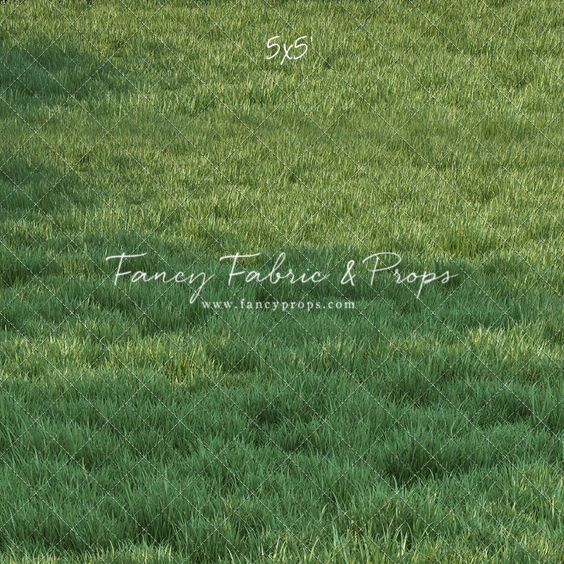 Spring Sunrise Garden Lawn - Floor