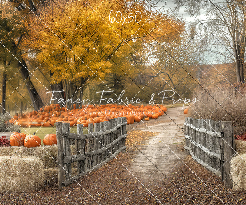 Autumn Adventures Farm Trail - with Sweep Option