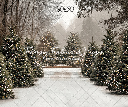 Country Pines Trail with Sweep Option