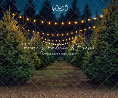 Pine Ridge Farm Path