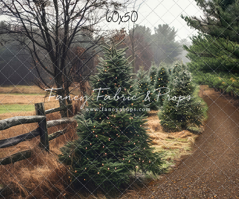 Rustic Tree Farm Trail