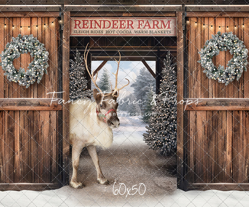 Snowy Mountain Reindeer Farm - With Reindeer