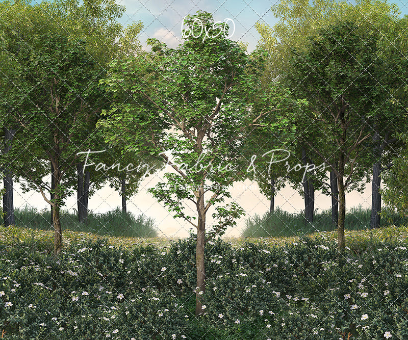 Spring Morning Meadow