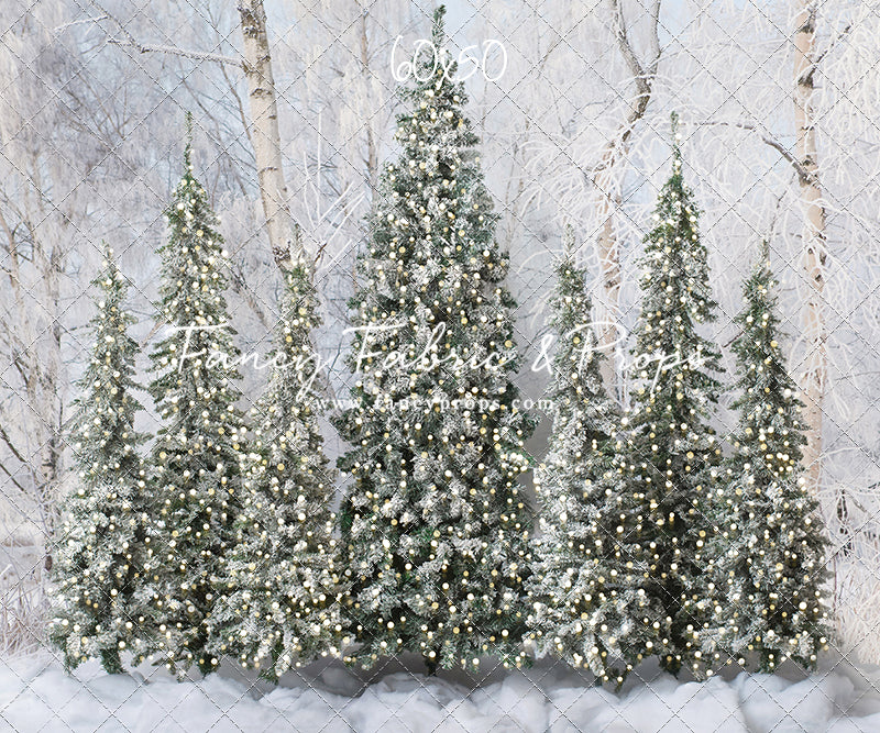 Winter Christmas Barn Forest