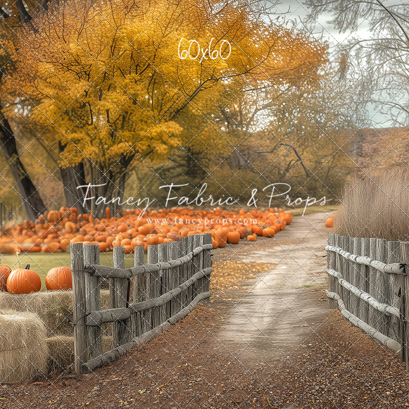 Autumn Adventures Farm Trail - with Sweep Option