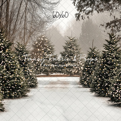 Country Pines Trail with Sweep Option