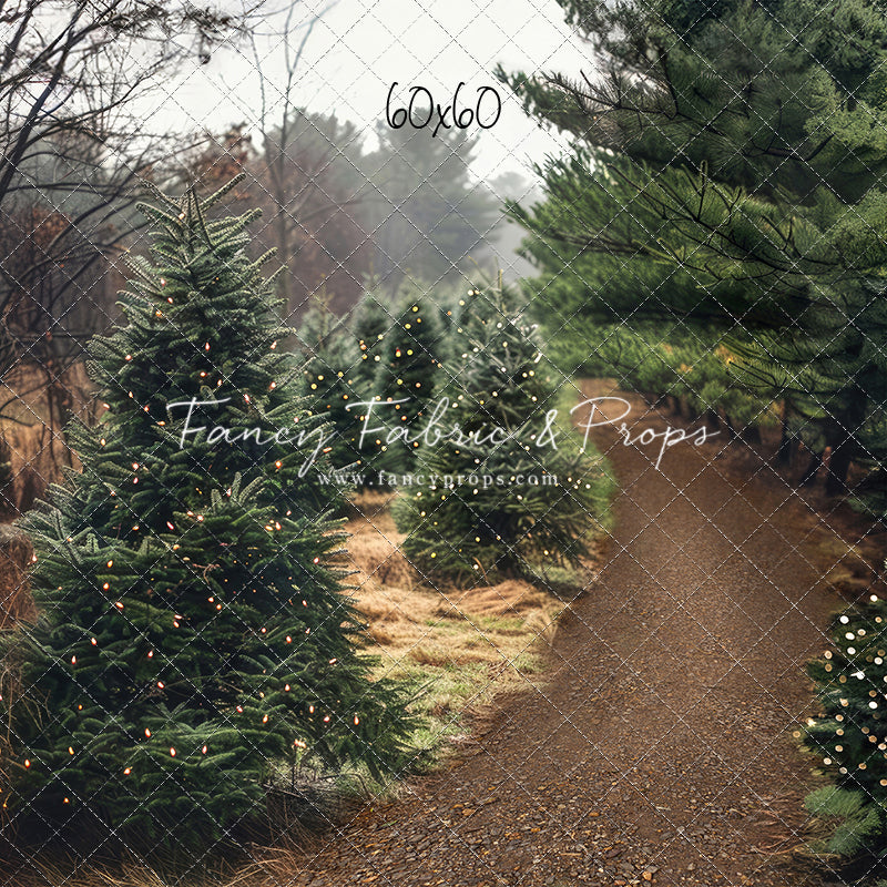 Rustic Tree Farm Trail