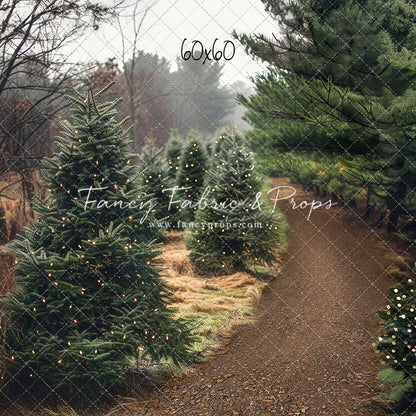 Rustic Tree Farm Trail