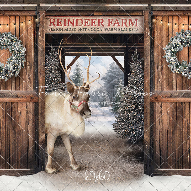 Snowy Mountain Reindeer Farm - With Reindeer