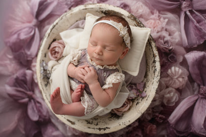 Sugarplum Wishes - Petite