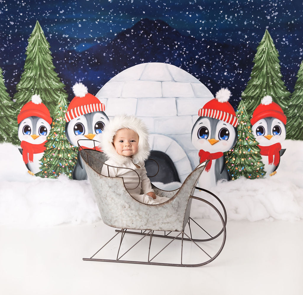 North Pole Buddy Patrol