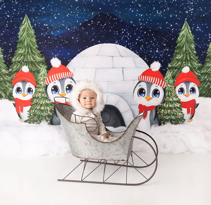 North Pole Buddy Patrol