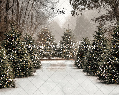 Country Pines Trail with Sweep Option