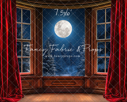 Midnight Christmas View