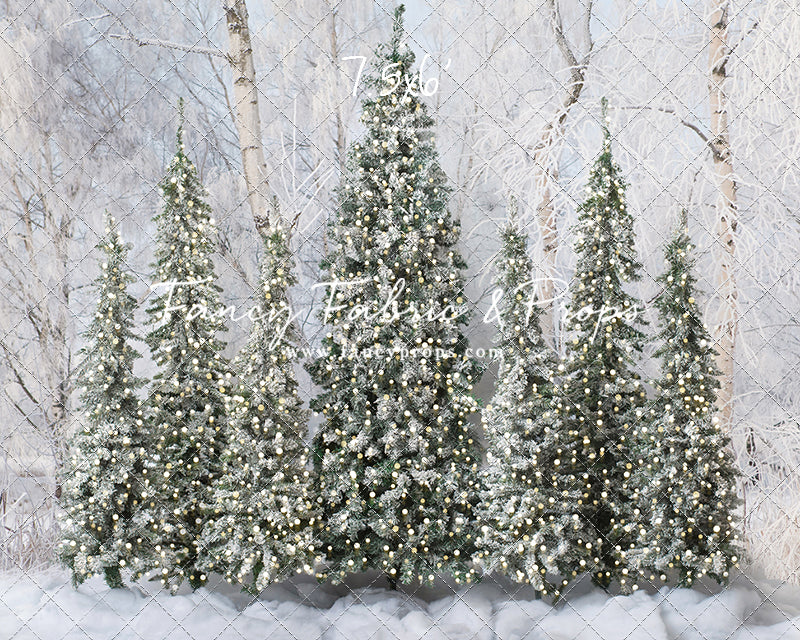 Winter Christmas Barn Forest