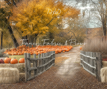 Autumn Adventures Farm Trail - with Sweep Option