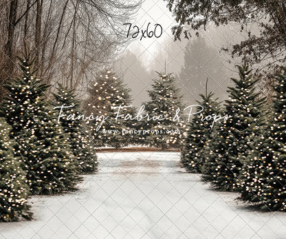 Country Pines Trail with Sweep Option