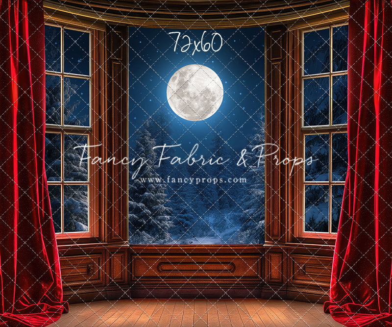 Midnight Christmas View