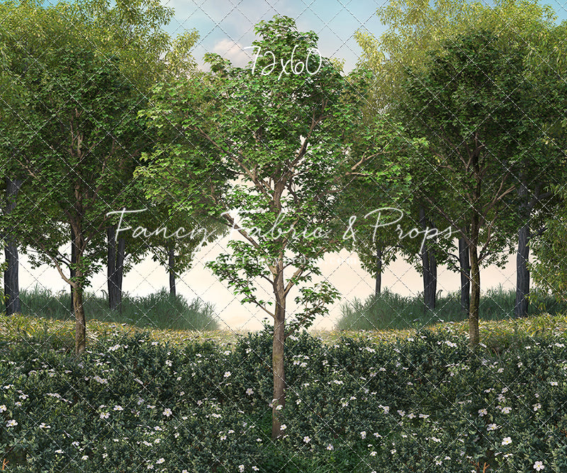 Spring Morning Meadow