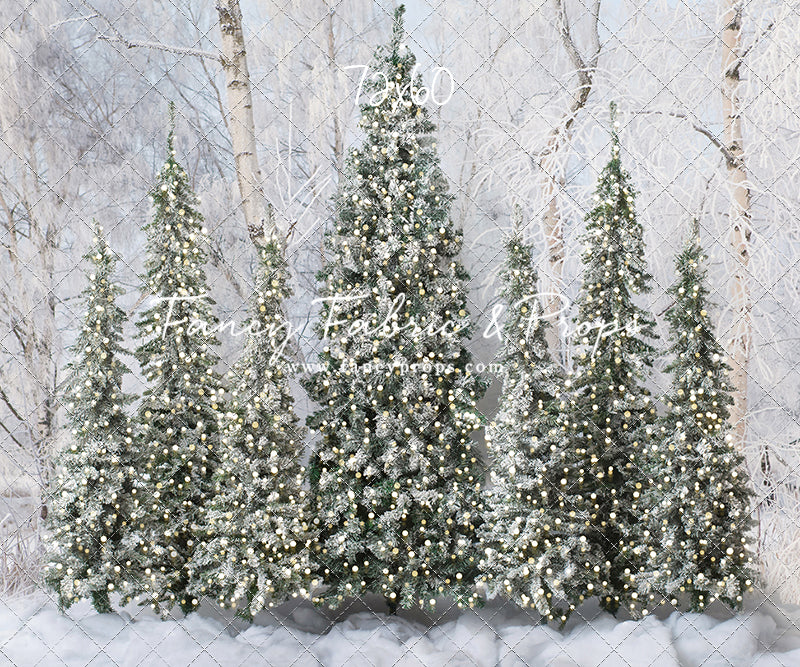 Winter Christmas Barn Forest