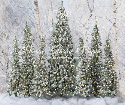 Winter Christmas Barn Forest