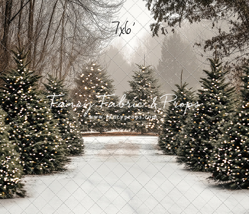 Country Pines Trail with Sweep Option