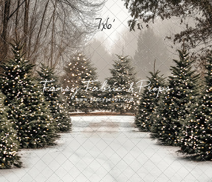 Country Pines Trail with Sweep Option