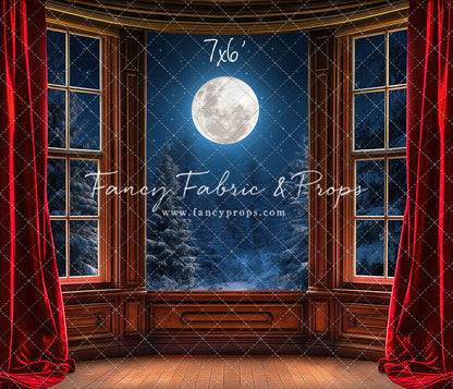 Midnight Christmas View