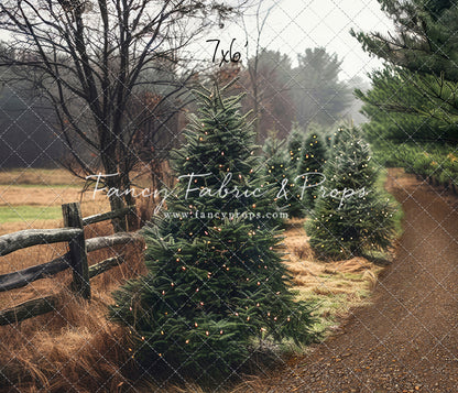 Rustic Tree Farm Trail