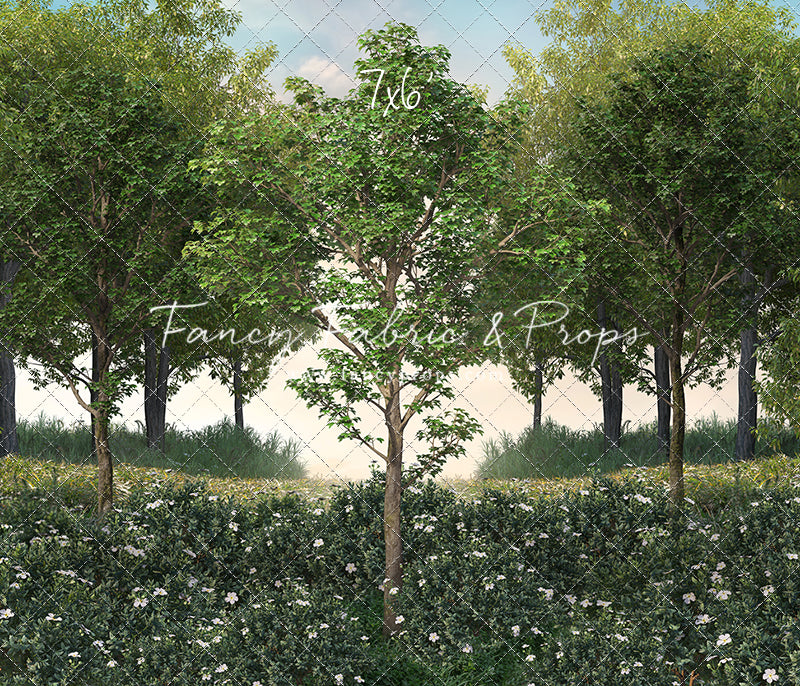 Spring Morning Meadow