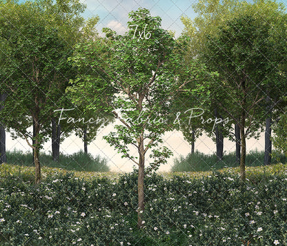 Spring Morning Meadow