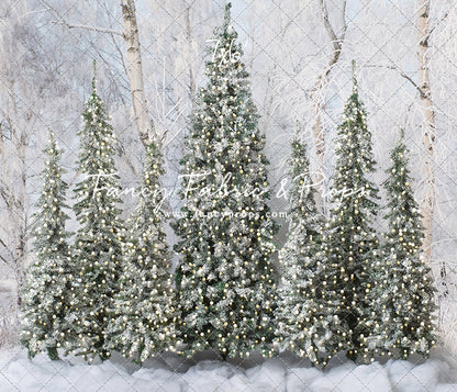 Winter Christmas Barn Forest