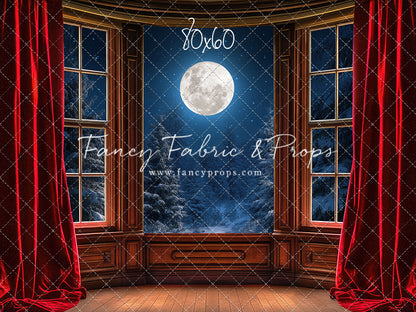 Midnight Christmas View