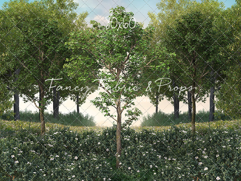 Spring Morning Meadow