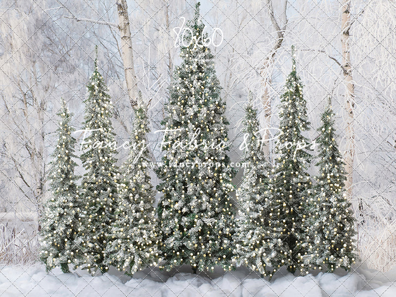 Winter Christmas Barn Forest