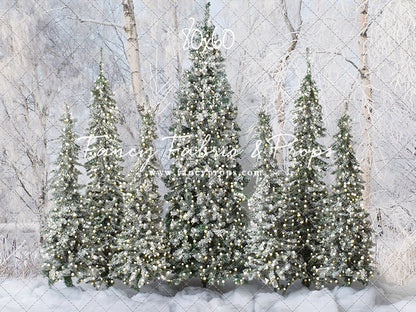 Winter Christmas Barn Forest