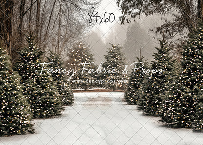 Country Pines Trail with Sweep Option