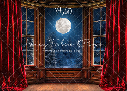 Midnight Christmas View