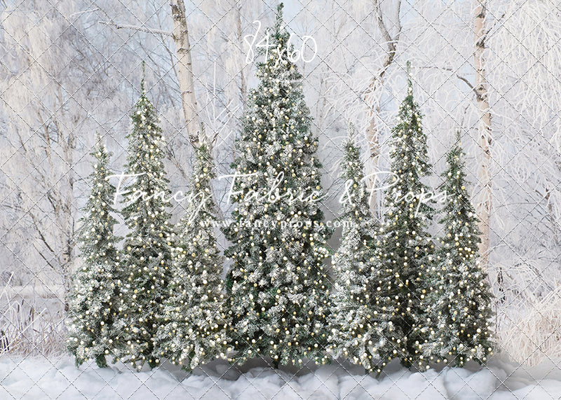 Winter Christmas Barn Forest