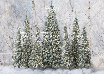 Winter Christmas Barn Forest