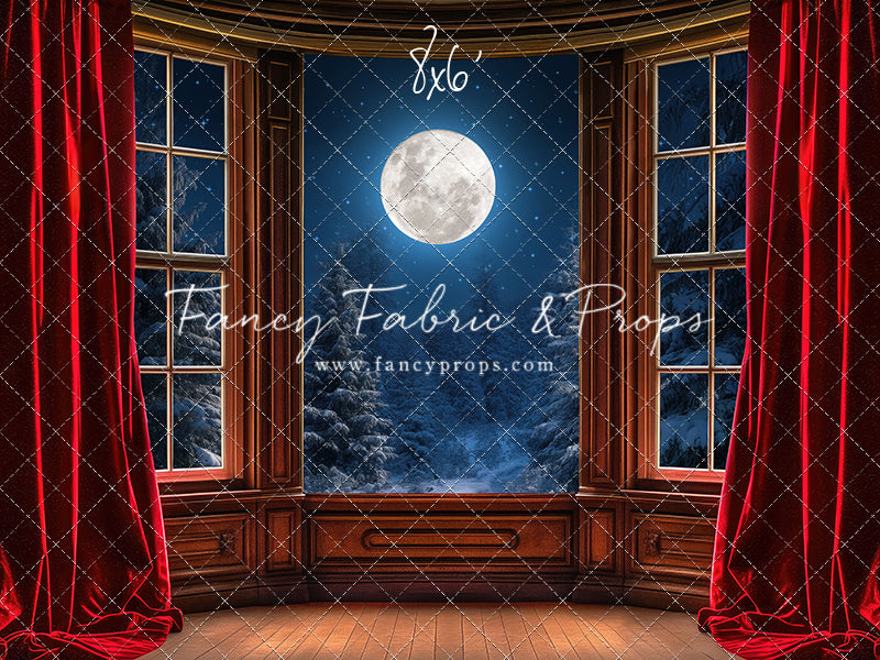 Midnight Christmas View