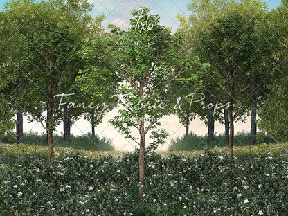 Spring Morning Meadow