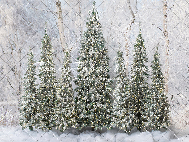 Winter Christmas Barn Forest