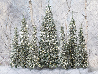 Winter Christmas Barn Forest