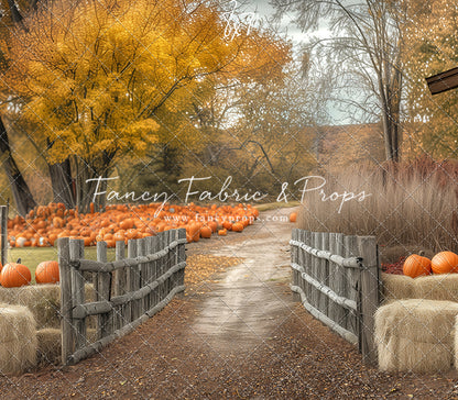 Autumn Adventures Pumpkin Patch - Room