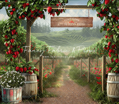 Fancy Farms Strawberry Stand - Room