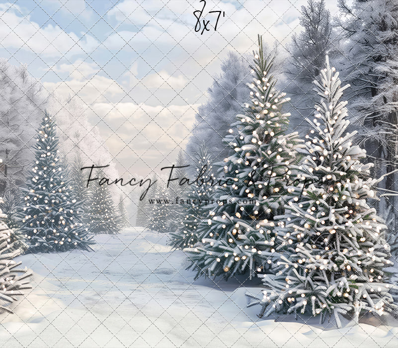 Snowy Mountain Reindeer Farm - No Reindeer - 2pc Room