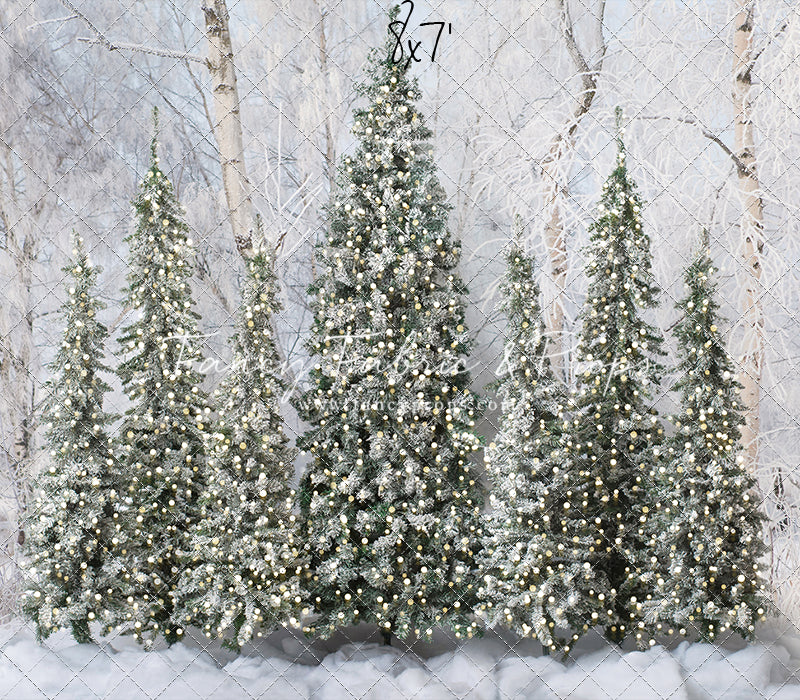 Snowy Tree Farm Entry - 2pc Room