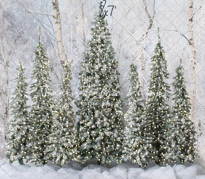 Snowy Tree Farm Entry - 2pc Room